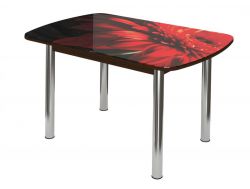 Стол обеденный Бостон брифинг гербера